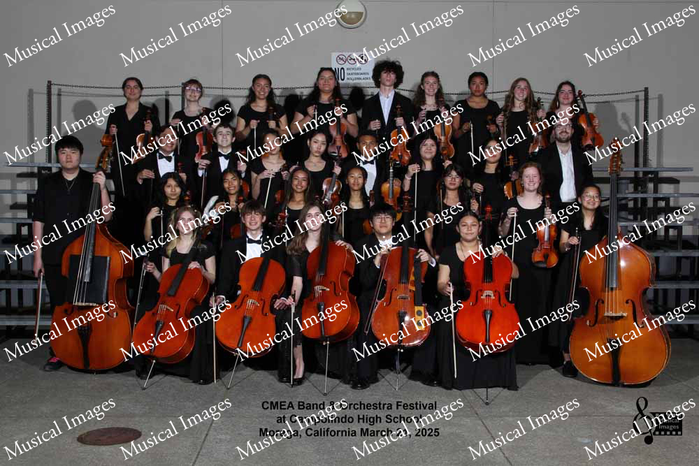 Musical Images